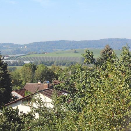 Gesundheitshotel Haus Sonnenstein Salem  Zewnętrze zdjęcie