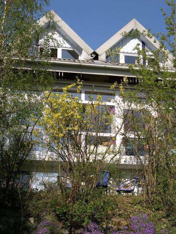 Gesundheitshotel Haus Sonnenstein Salem  Zewnętrze zdjęcie
